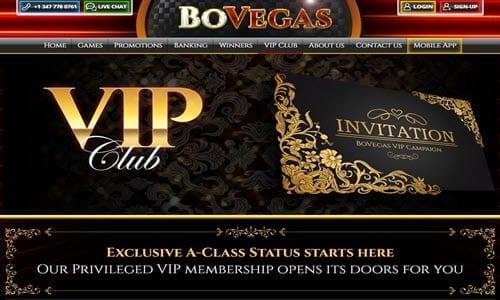Bovegas Casino Vip Club